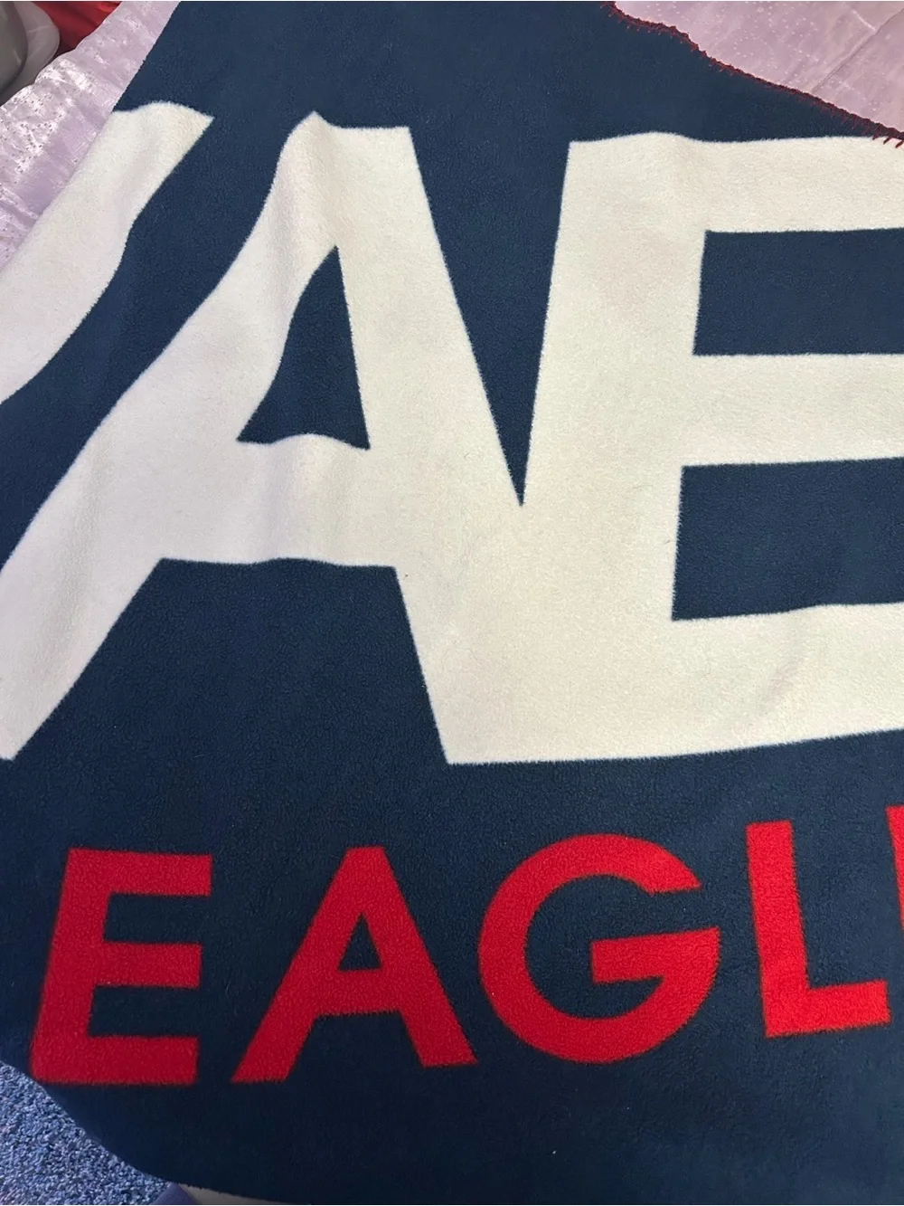 Vintage American Eagle Outfitters Navy, White & Red Logo Blanket